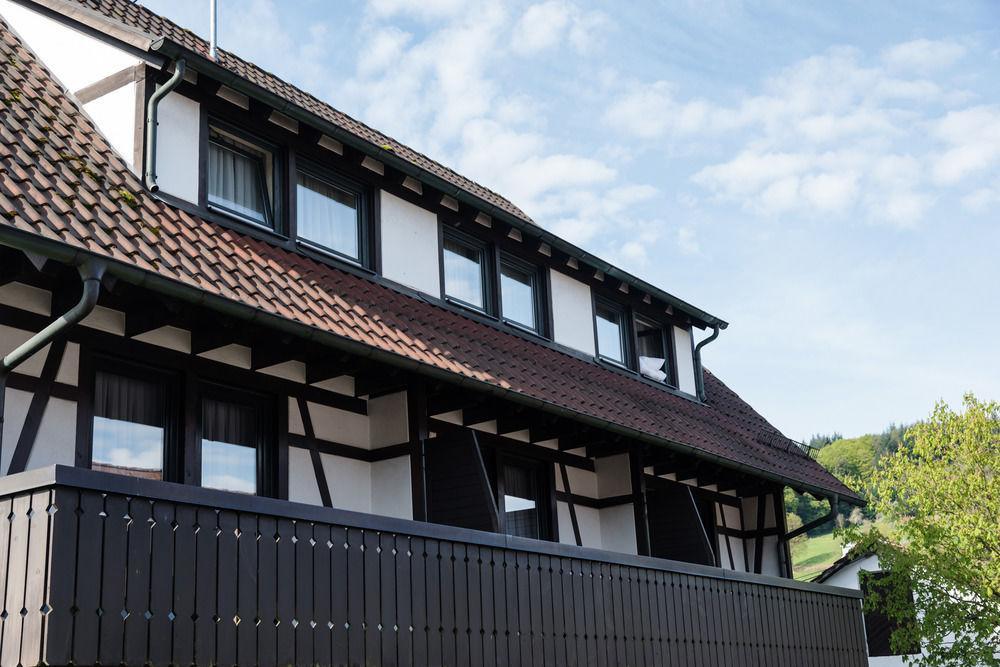 Landgasthof Ochsen Seelbach  Dış mekan fotoğraf