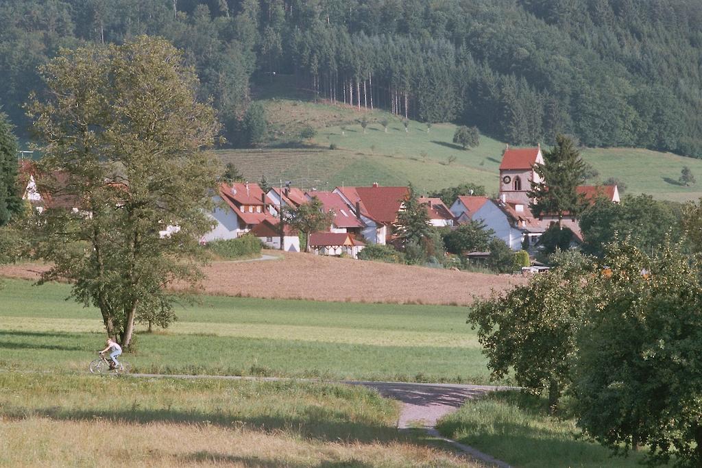 Landgasthof Ochsen Seelbach  Dış mekan fotoğraf